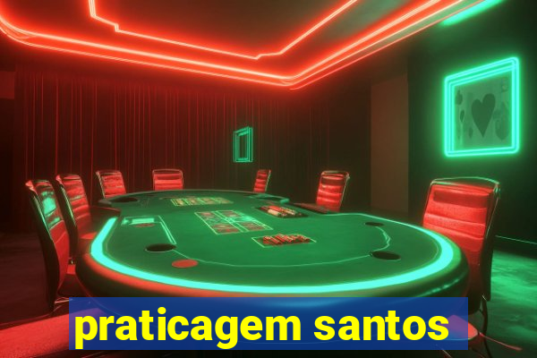 praticagem santos